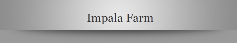 Impala Farm